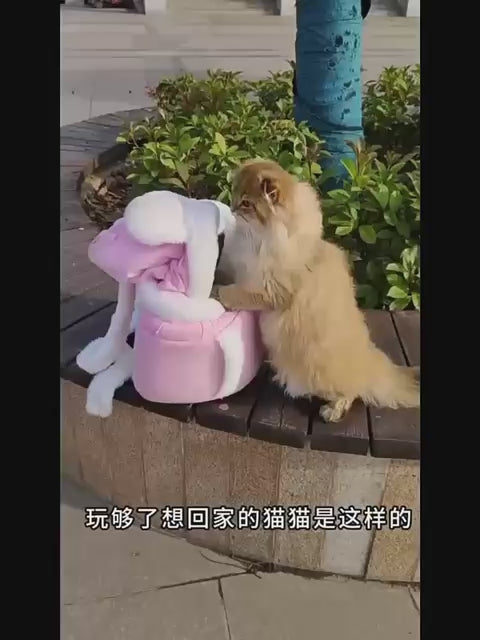 🎀 MOCHILA PARA MASCOTAS – COLOR ROSADO